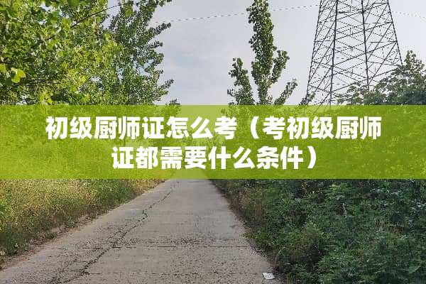 初级厨师证怎么考（考初级厨师证都需要什么条件）