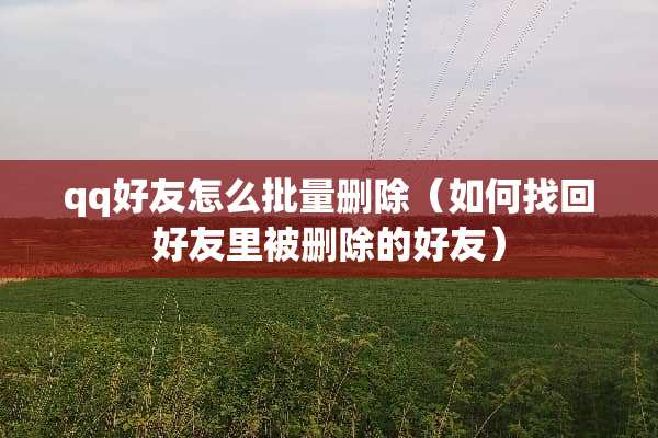 qq好友怎么批量删除（如何找回好友里被删除的好友）