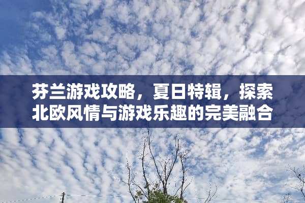芬兰游戏攻略，夏日特辑，探索北欧风情与游戏乐趣的完美融合 芬兰游戏攻略夏天推荐