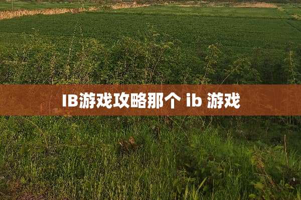 IB游戏攻略那个 ib 游戏