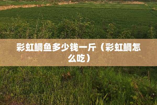 彩虹鲷鱼多少钱一斤（彩虹鲷怎么吃）