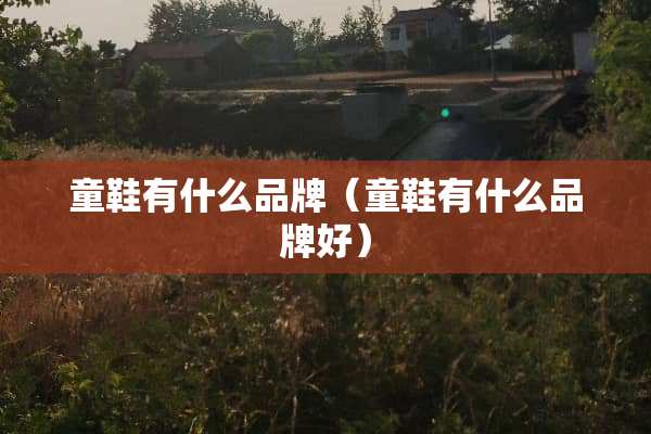 童鞋有什么品牌（童鞋有什么品牌好）