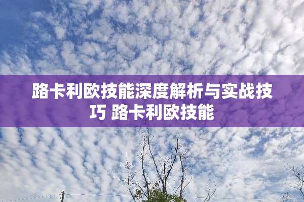 路卡利欧技能深度解析与实战技巧 路卡利欧技能
