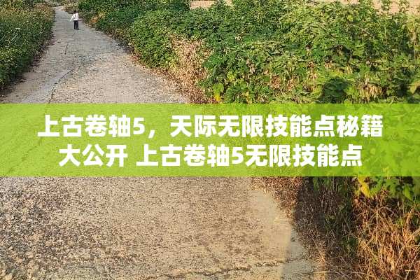 上古卷轴5，天际无限技能点秘籍大公开 上古卷轴5无限技能点