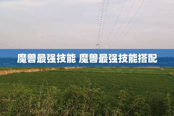 魔兽最强技能 魔兽最强技能搭配
