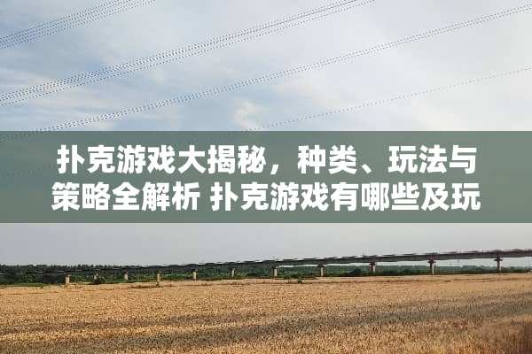 **游戏大揭秘，种类、玩法与策略全解析**游戏有哪些及玩法