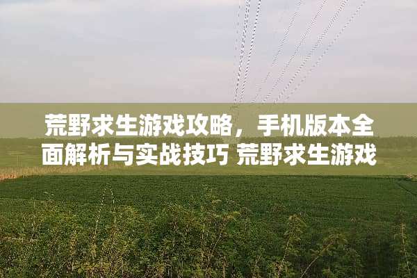 荒野求生游戏攻略，手机版本全面解析与实战技巧 荒野求生游戏攻略手机