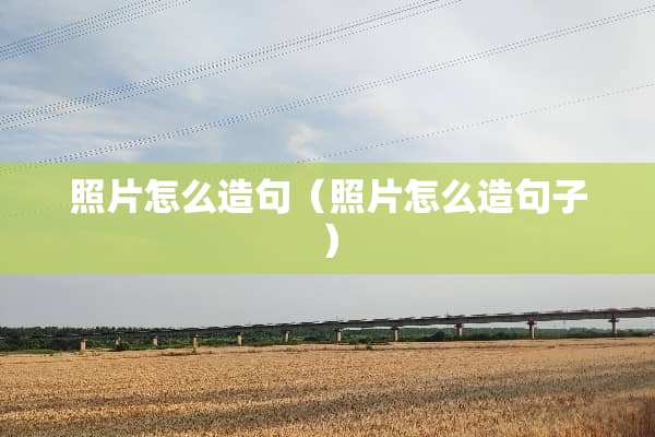 照片怎么造句（照片怎么造句子）