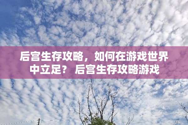 后宫生存攻略，如何在游戏世界中立足？ 后宫生存攻略游戏