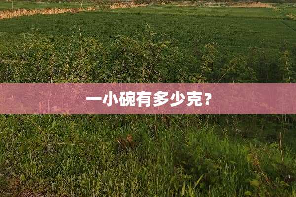 一小碗有多少克？