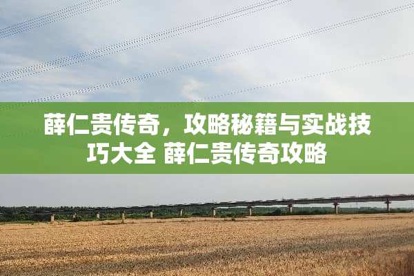 薛仁贵传奇，攻略秘籍与实战技巧大全 薛仁贵传奇攻略