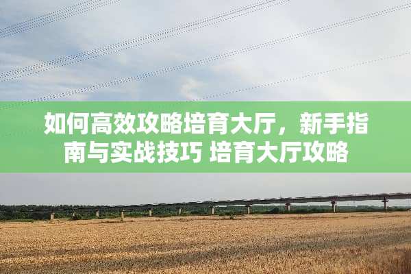 如何高效攻略培育大厅，新手指南与实战技巧 培育大厅攻略