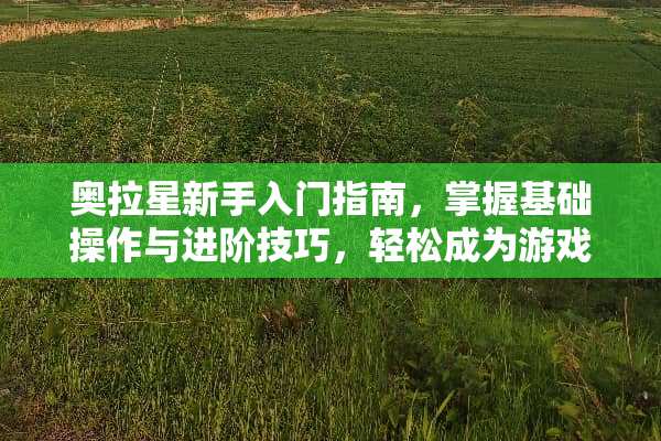 奥拉星新手入门指南，掌握基础操作与进阶技巧，轻松成为游戏高手 奥拉星新手攻略