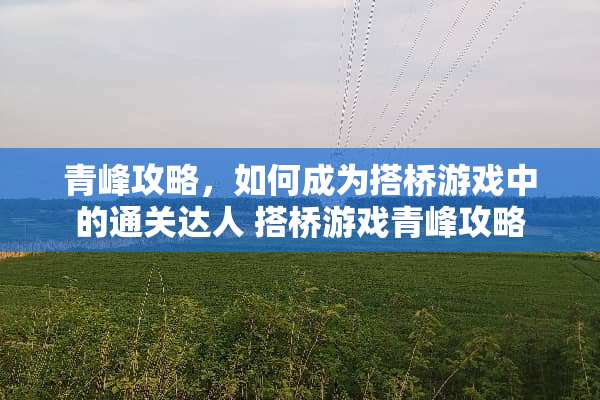 青峰攻略，如何成为搭桥游戏中的通关达人 搭桥游戏青峰攻略