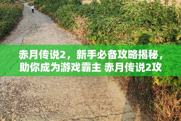 赤月传说2，新手必备攻略揭秘，助你成为游戏霸主 赤月传说2攻略
