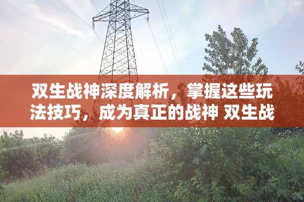 双生战神深度解析，掌握这些玩法技巧，成为真正的战神 双生战神玩法