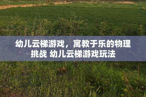 幼儿云梯游戏，寓教于乐的物理挑战 幼儿云梯游戏玩法