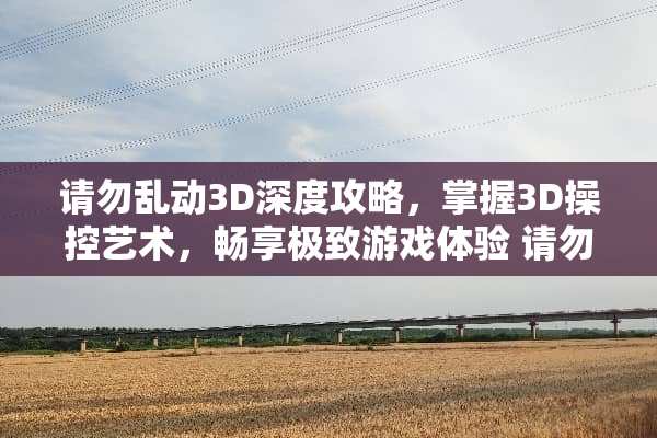 请勿乱动3D深度攻略，掌握3D操控艺术，畅享极致游戏体验 请勿乱动3d攻略
