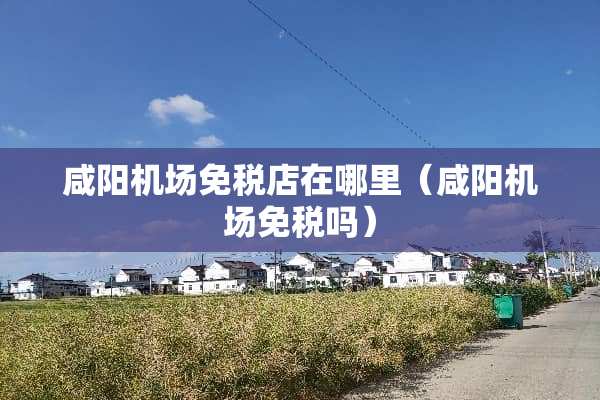 咸阳机场免税店在哪里（咸阳机场免税吗）