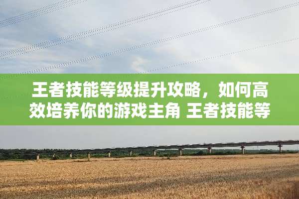 王者技能等级提升攻略，如何高效培养你的游戏主角 王者技能等级