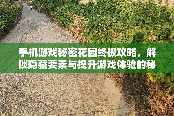 手机游戏秘密花园终极攻略，解锁隐藏要素与提升游戏体验的秘诀 手机游戏秘密花园攻略
