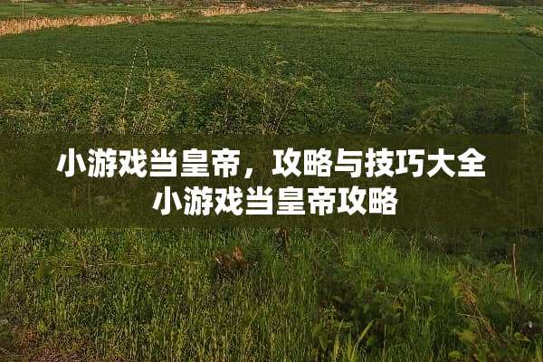 小游戏当皇帝，攻略与技巧大全 小游戏当皇帝攻略