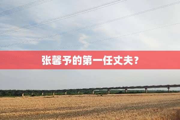 张馨予的第一任丈夫？