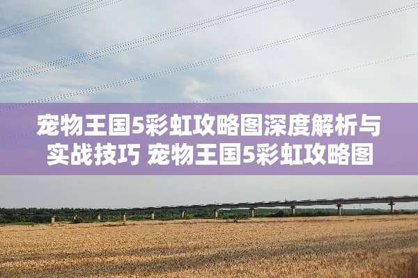 宠物王国5彩虹攻略图深度解析与实战技巧 宠物王国5彩虹攻略图