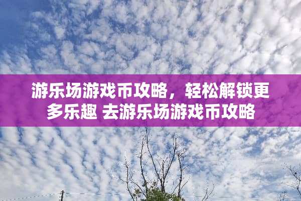 游乐场游戏币攻略，轻松解锁更多乐趣 去游乐场游戏币攻略