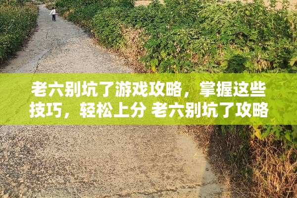 老六别坑了游戏攻略，掌握这些技巧，轻松上分 老六别坑了攻略游戏