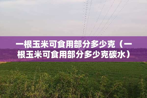 一根玉米可食用部分多少克（一根玉米可食用部分多少克碳水）