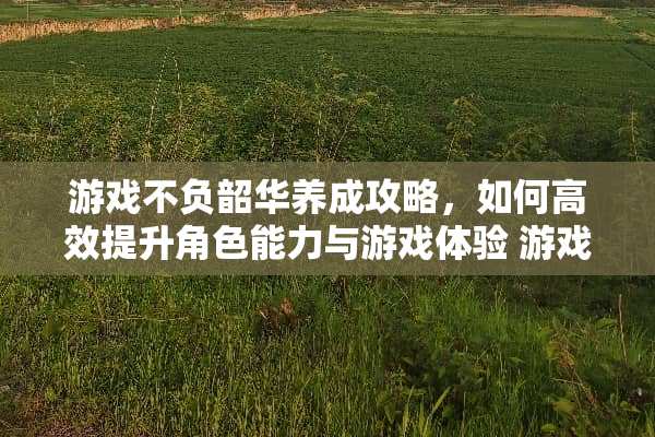 游戏不负韶华养成攻略，如何高效提升角色能力与游戏体验 游戏不负韶华养成攻略
