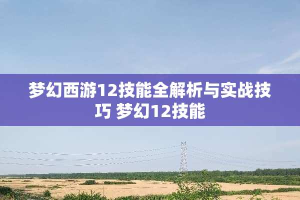 梦幻西游12技能全解析与实战技巧 梦幻12技能