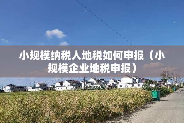 小规模纳税人地税如何申报（小规模企业地税申报）