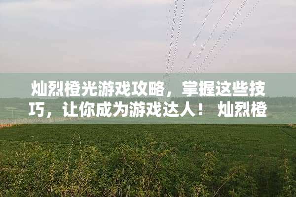 灿烈橙光游戏攻略，掌握这些技巧，让你成为游戏达人！ 灿烈橙光游戏攻略