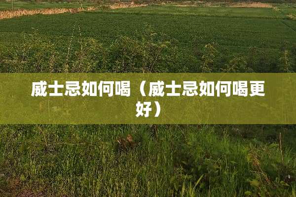 威士忌如何喝（威士忌如何喝更好）