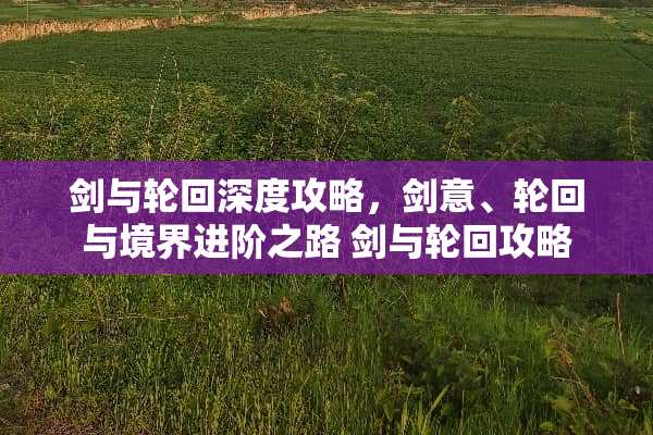 剑与轮回深度攻略，剑意、轮回与境界进阶之路 剑与轮回攻略