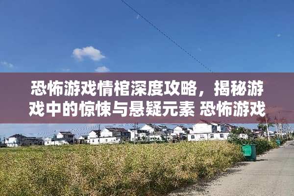 恐怖游戏情棺深度攻略，揭秘游戏中的惊悚与悬疑元素 恐怖游戏情棺游戏攻略
