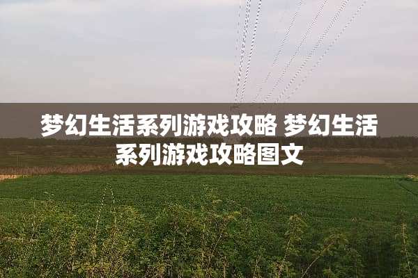 梦幻生活系列游戏攻略 梦幻生活系列游戏攻略图文
