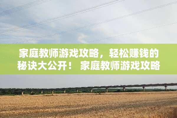 家庭教师游戏攻略，轻松赚钱的秘诀大公开！ 家庭教师游戏攻略赚钱