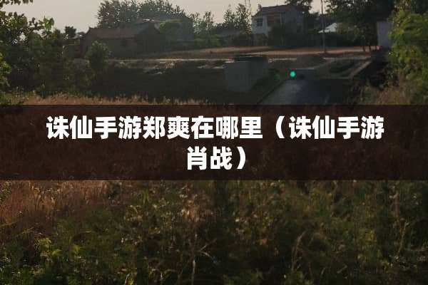 诛仙手游郑爽在哪里（诛仙手游肖战）