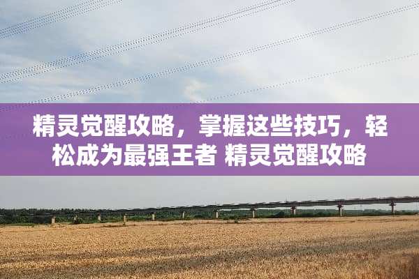 精灵觉醒攻略，掌握这些技巧，轻松成为最强王者 精灵觉醒攻略