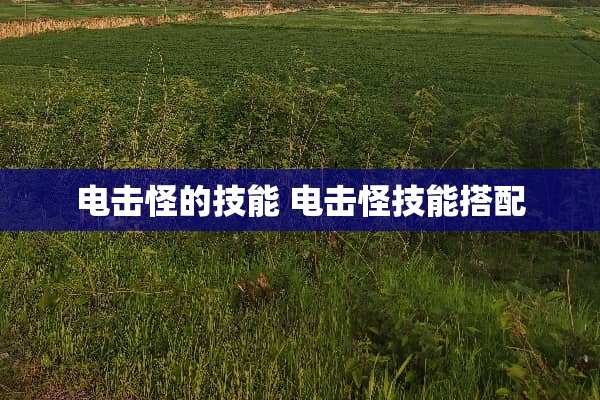 电击怪的技能 电击怪技能搭配