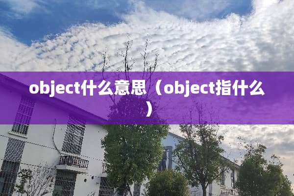 object什么意思（object指什么）
