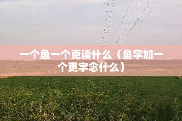 一个鱼一个更读什么（鱼字加一个更字念什么）