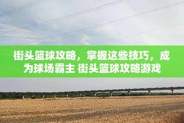街头篮球攻略，掌握这些技巧，成为球场霸主 街头篮球攻略游戏