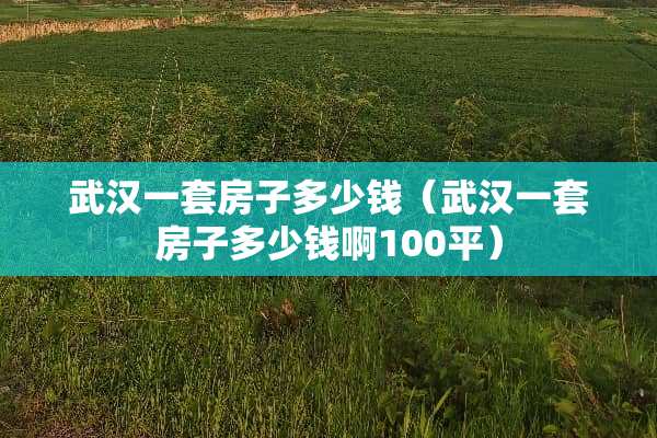 武汉一套房子多少钱（武汉一套房子多少钱啊100平）