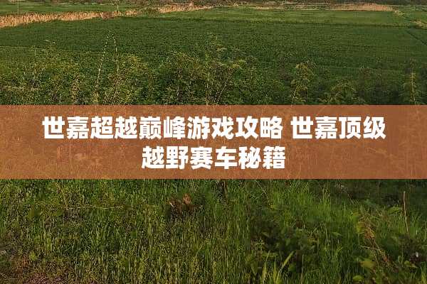 世嘉超越巅峰游戏攻略 世嘉**越野赛车秘籍