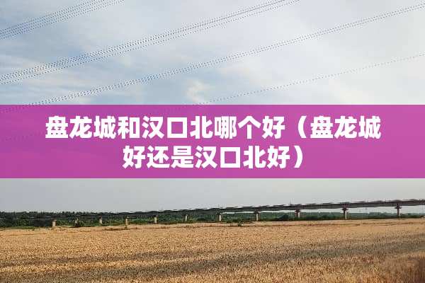 盘龙城和汉口北哪个好（盘龙城好还是汉口北好）