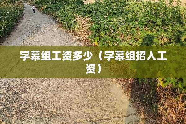 字幕组工资多少（字幕组招人工资）